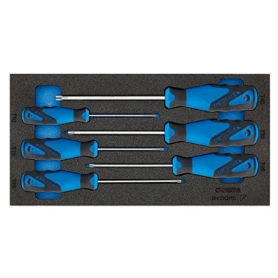 Image of Gedore Check Tool insert with assortment