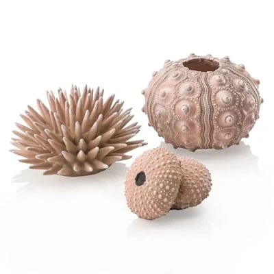 Image of biOrb Sea urchin Set natural