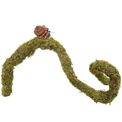 Image of Begeterday 63.5cm Hermit Crab Climbing Toys, Bendable Supplies, Ideal Habitat Tank Terrarium Accessories