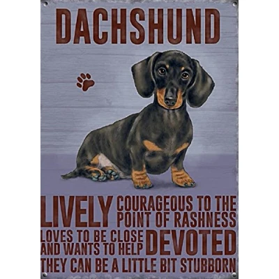 Image of Dachshund steel fridge magnet (og)