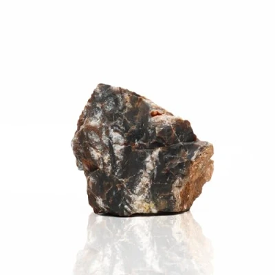 Image of Amtra Petrified rock, aquarium decoration, natural, non limestone, 1 KG