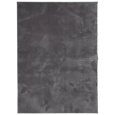 Image of vidaXL Soft and Washable Short Pile Rug in Anthracite 100% Polyester, Non Slip Backing, Machine Washable, Suitable for Underfloor Heating, 120 x 170 cm