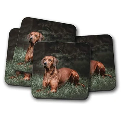 Image of 4 Set Rhodesian Ridgeback Dog Coaster Cute Puppy Dogs Animals #16679