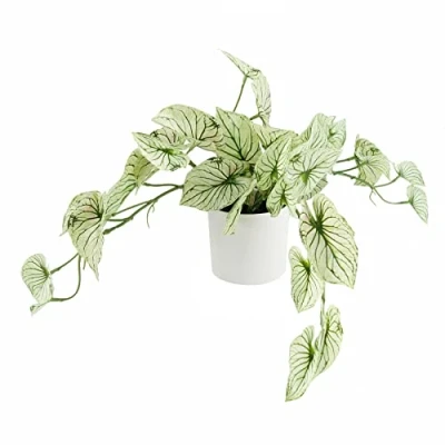 Image of Leaf Design UK Realistic Artificial Foliage Plant, 30cm Variegated Potted Alocasia