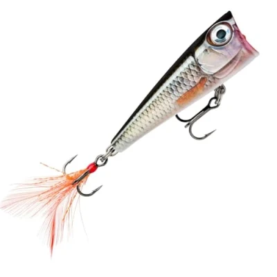 Image of Rapala X Lite Pop FNP4 ROL 1.8 inches (4.5 cm) / 0.16 oz g) (Lie Brooch)