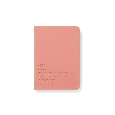 Image of Letts Conscious A6 day to a page with appointments 2024 diary clay