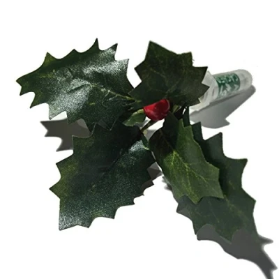 Image of Holly and Berry Sneaky Geocache Container Logged Ready to Hide Waterproof