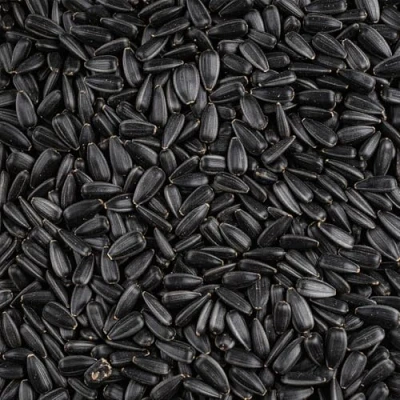 Image of Leagrams Black Sunflower Seeds for Wild Birds Rich in Protein &amp; Oil, High Energy Bird Food (5kg)