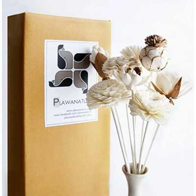 Image of Exotic Plawanature Set of 8 Mixed Sola Wood Flower with Reed Diffuser for Home Fragrance Aroma Oil.