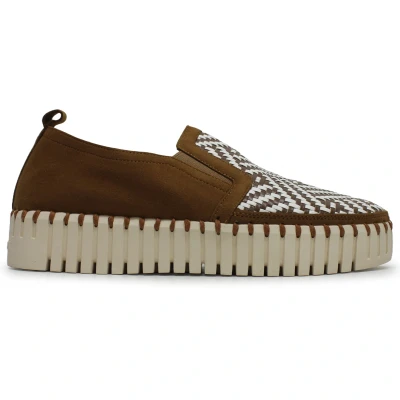 Image of Tulip 3876 Textile Synthetic Women&#039;s Comfort Shoes