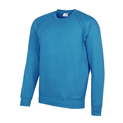 Image of AWDis Men&#039;s Academy Raglan Sweatshirt, Blue (Academy Sky), XX Large