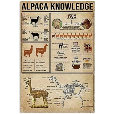 Image of Alpaca Knowledge,12 * 8 Inches Vintage Funny Poster Wall Decor Art Gift Retro Picture Metal Sign