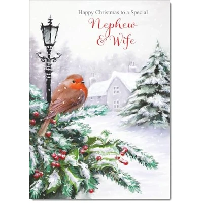 Image of doodlecards Nephew and Wife Christmas Card Robin by Lamp Medium Size for &amp; with Plain Envelope
