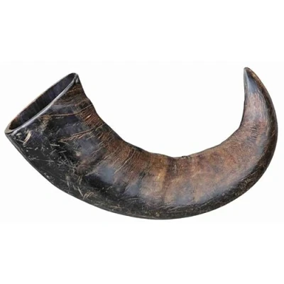 Image of Superpet Natural Treats For Dogs Wild Bones Buffalo Horn Large 2 Pk