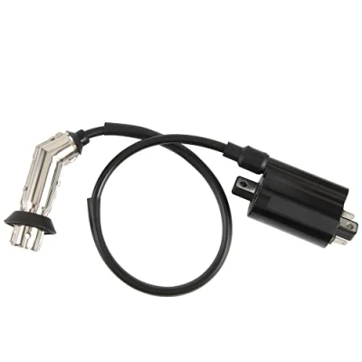 Image of GOOFIT Ignition Coil Replacement For Manco Talon 257cc 260cc 300cc Roketa MC 250 B FS300 ATV Dirt Bike