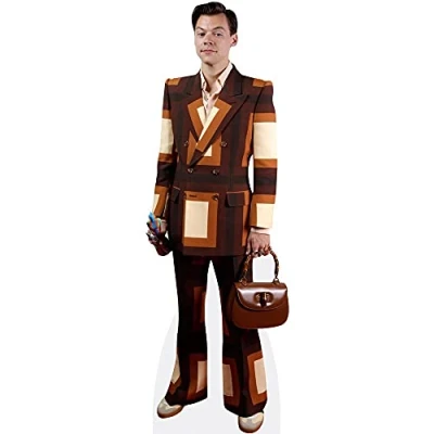 Image of Harry E. Styles (Bag) Mini Size Cutout