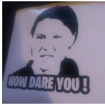 Image of Greta thunberg How Dare you meme funny decal sticker