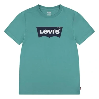 Image of Levi&#039;s Batwing TEE Unisex Print Tshirt for kids, Size: 10y, Porcelain green
