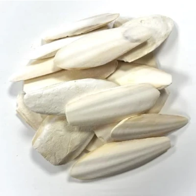 Image of 9 15cm Premium Quality Cuttlefish Bone (Pack of 1) Suitable for Cage Birds, Reptiles etc.
