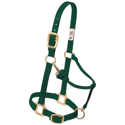 Image of Weaver Leather Original Adjustable Nylon Horse Halter, Yearling, Hunter Green