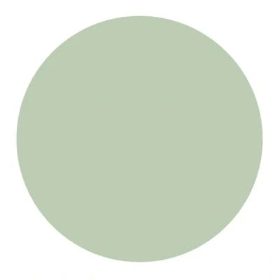 Image of Star Cutouts SC5000 c s 004 Plain Small Cardboard Circle Sage Green Height 56 cm Width Ideal DIY Craft Decoration for Birthday, Wedding, Anniversary etc