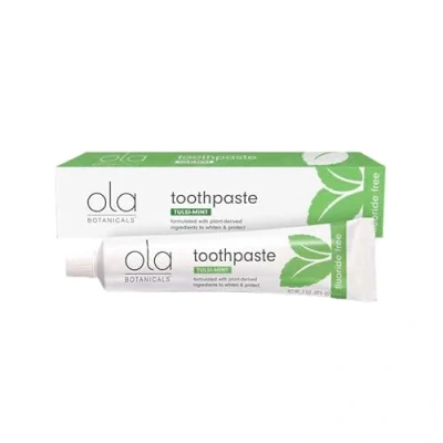 Image of Dr Mercola Natural Mint Toothpaste(with Tulsi, Floride Free, 85g