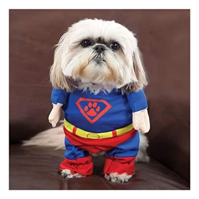 Image of Shih Tzu Dog Superman Superdog Blank Greeting Card Any Occasion/Birthday