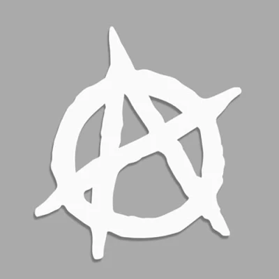 Image of Decus Anarchy L 0170 (white) // Sticker OEM JDM Style Vinyl Transfer