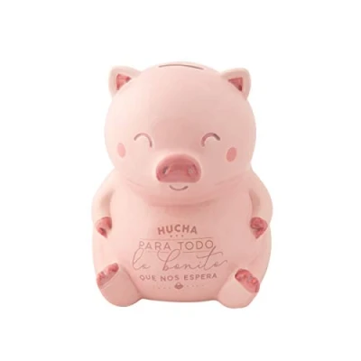 Image of Mr. Wonderful WOA10323ES Piggy Bank for Everything That Expects Pink