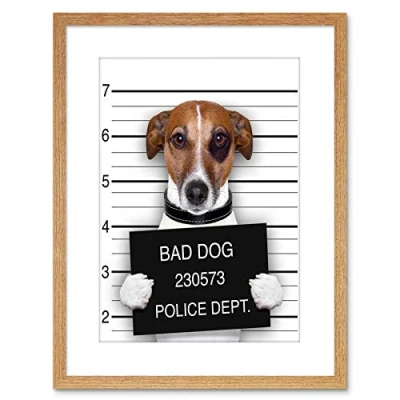 Image of Wee Blue Coo Jack Russell Dog Mugshot Police Picture Photo Framed Wall Art Print