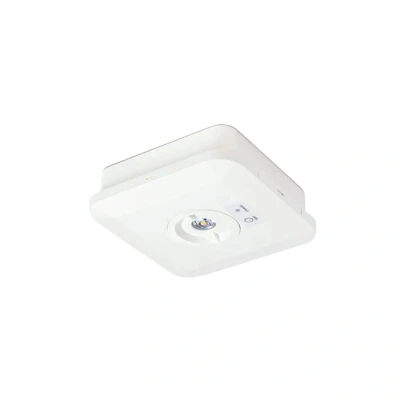 Image of Salvus Square Emergency Surface Spotlight White Collingwood