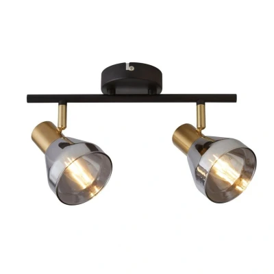 Image of Searchlight Lighting Westminster 2 Light Spotlight, Black, Satin Brass &amp; Smoked Glass
