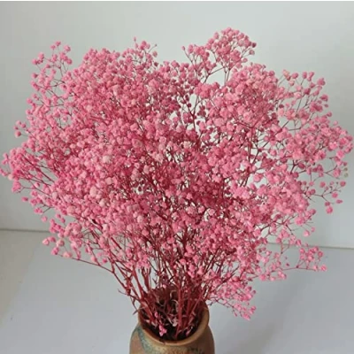 Image of 100g Natural Dried Gypsophila Flower Bouquet Baby&#039;s Breath Bunch Forever Decorative Blooms Babys Flowers for Wedding DIY Home Party Decor
