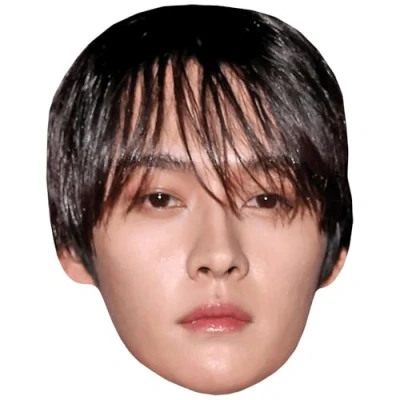 Image of Lee Know (Fringe) Celebrity Mask, Flat Card Face, Fancy Dress Mask