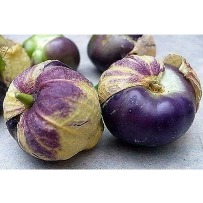 Image of 25 Seeds of Purple Tomatillo Tomato