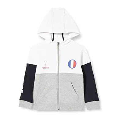 Image of FIFA Official World Cup 2022 Side Panel Hoodie, Kids, France, Age 4 5