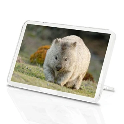Image of 1 x Fridge Magnet Cute Wombat Australia Animal Classic Kitchen #2295