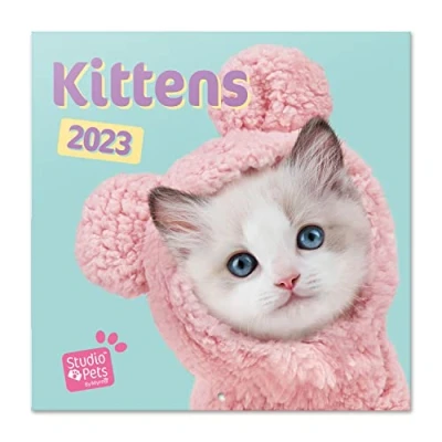 Image of Grupo Erik Studio Pets Kittens Wall Calendar 2023 12&#039; x FSC 12 Month Planner Square Family Cat + 4 Bonus Months
