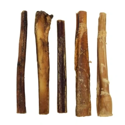 Image of Express Pet Supplies 30 x 8&quot; Inch (20cm) Long Thick Bulls PIZZLES Pizzle Bully Sticks Dog Treat Chew
