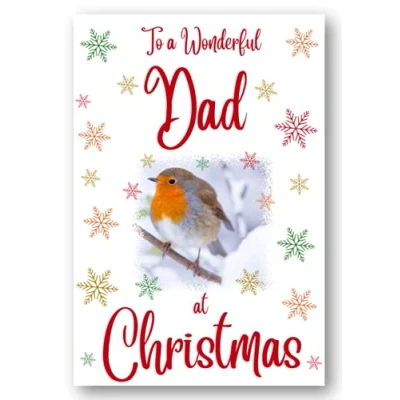 Image of Second Ave Dad Christmas Robin Xmas Holiday Festive Greetings Card