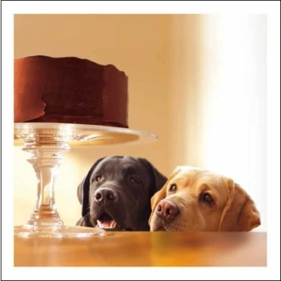 Image of Woodmansterne Loose Leashes Blank irthday Card Leave Us a Slice