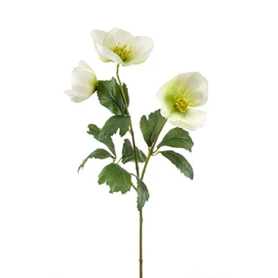 Image of artplants.de Fake Christmas rose MERUEL, white green, 45cm Artificial Hellebore/Faux flower spray