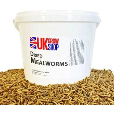 Image of UK 5L Premium value Dried Mealworms 5 litres (5L) (5 Litres, RE USABLE BUCKET)
