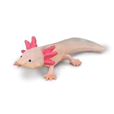 Image of CollectA Axolotl Realistic Hand Painted Sea Life Creature, Ocean Toys &amp; Figures, Animal Models, Wildlife Gifts For Toddlers Kids, Age 3 Years +