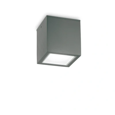 Image of Techo Outdoor Large Surface Mounted Downlight Anthracite IP54, GU10