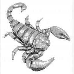 Image of Gift Box Pewter Scorpion Pin Badge or Brooch for Scarf, Tie, Hat, Coat Bag
