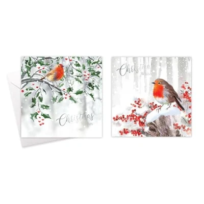 Image of Tallon Pack of 10 Assorted Christmas Cards Robin Theme, 2 Designs, Silver Foil Finish, Eco Friendly Packaging 100% Recyclable, 14cm x