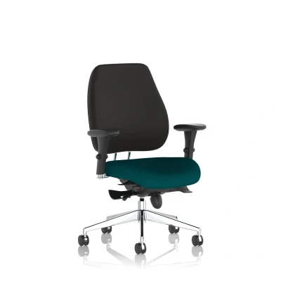 Image of Chiro Plus Bespoke Colour Seat Maringa Teal