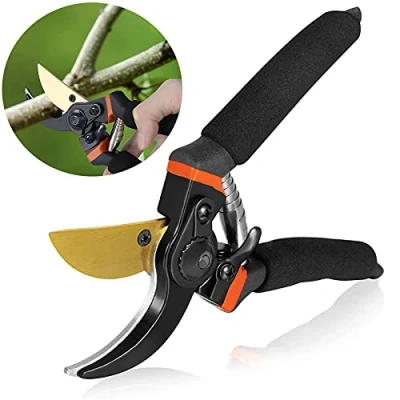 Image of 8&quot; Professional Secateurs Premium Titanium Bypass Pruning Shears, Hand Pruners, Garden Clip, Hedge Tree Trimmer, Scissors, Bonsai Tools High Carbon Alloy Steel(Gold)