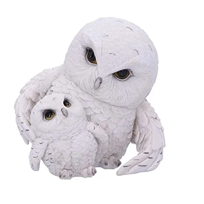 Image of Nemesis Now Feathered Guide Owl Figurine 13.5cm, White
